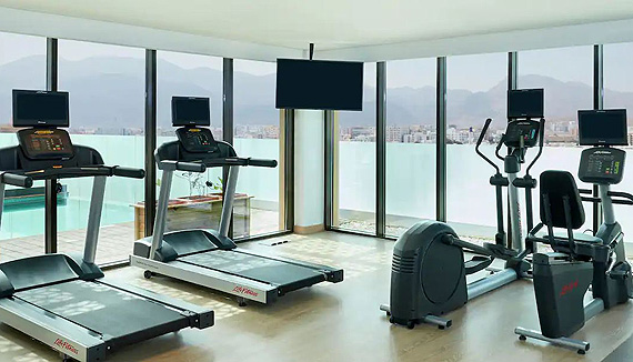 Hilton Garden Inn Muscat Gym Normal