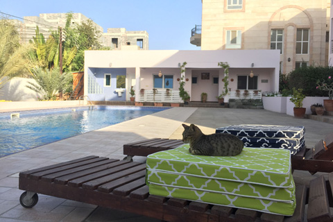 Villa Behly Boutique Muscat Pool Caroussel